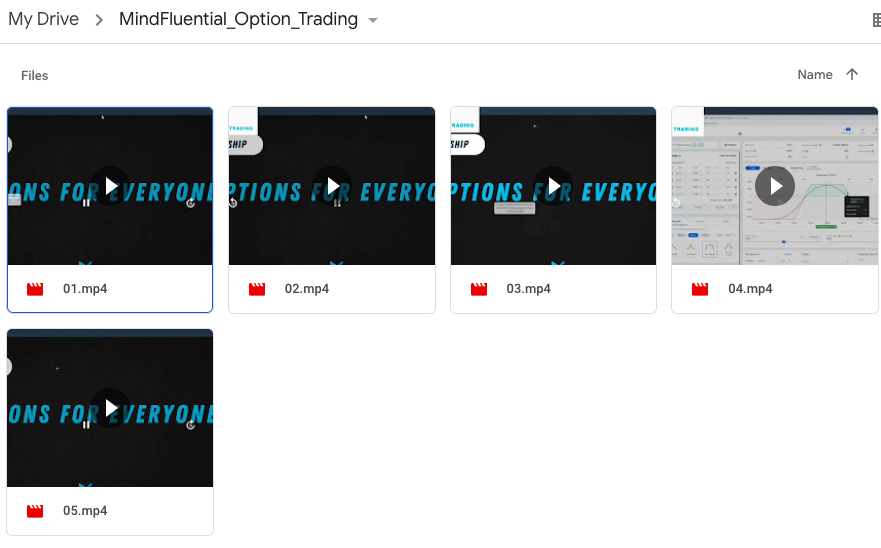 Mind Fluential Trading -Options Trading for Everyone Course 2021-Premium 2 Mind Fluential Trading -Options Trading for Everyone Course 2021-Premium - Image 2