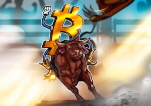 Shop 15 BIGBULL CRYPTO COURSE-Premium
