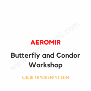 Aeromir - Butterfly and Condor Workshop