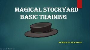 MAGICAL STOCKYARD COURSE