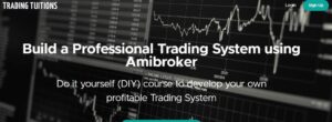 Trading Tuitions – Build a Professional Trading System using Amibroker
