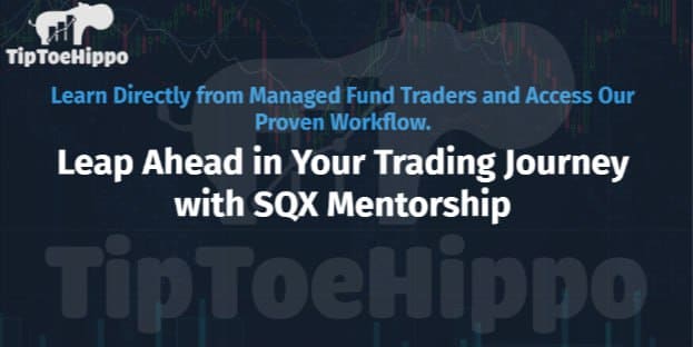 TipToeHippo – Strategy Quant Mentorship 1 TipToeHippo – Strategy Quant Mentorship