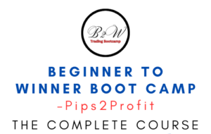 Pips2Profit – Beginner To Winner Boot Camp