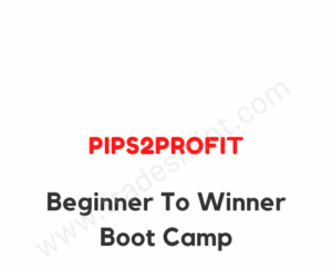 Pips2Profit - Beginner To Winner Boot Camp