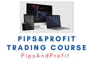 Pips&Profit Trading Course