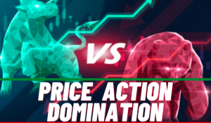 Price Action Domination By Sunny Jain