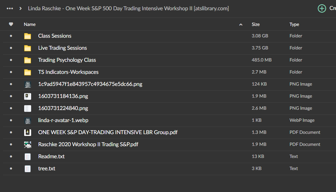 Linda Raschke – One Week S&P Workshop II 2 Linda Raschke – One Week S&P Workshop II - Image 2