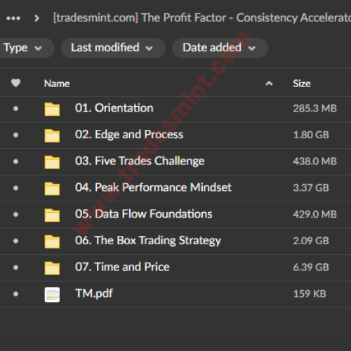 The Profit Factor - Consistency Accelerator Course 2 The Profit Factor - Consistency Accelerator Course - Image 2