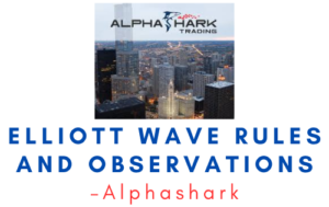 Alphashark – Elliott Wave Rules and Observations