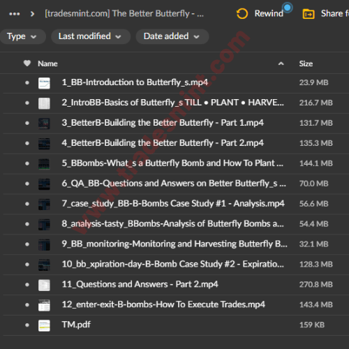 The Better Butterfly - Options Trading Course 2 The Better Butterfly - Options Trading Course - Image 2