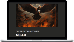 Tammy Chambless – Multiple Entry Iron Condor