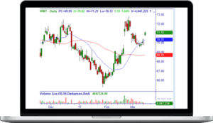 Master Trader – How Selling Put Options Can Buy Stocks at Wholesale