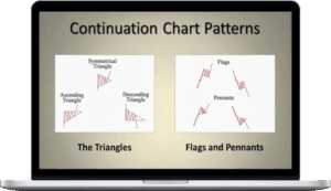 Master Trader – Master Trading Bull and Bear Flag Patterns