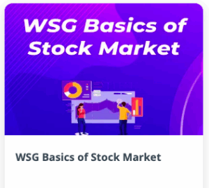 Wealth SaGa WSG Basics of Stock Market