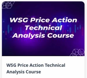 Wealth SaGa WSG Price Action Technical Analysis Course