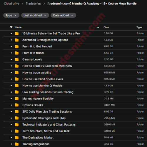 MenthorQ Academy - 18+ Course Mega Bundle 2 MenthorQ Academy - 18+ Course Mega Bundle - Image 2