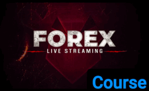 Guardeer Forex Live Classes