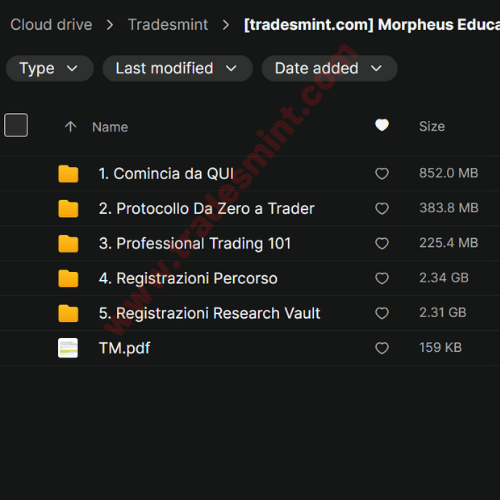 Morpheus Education - Fast Track Trader 2 Morpheus Education - Fast Track Trader - Image 2